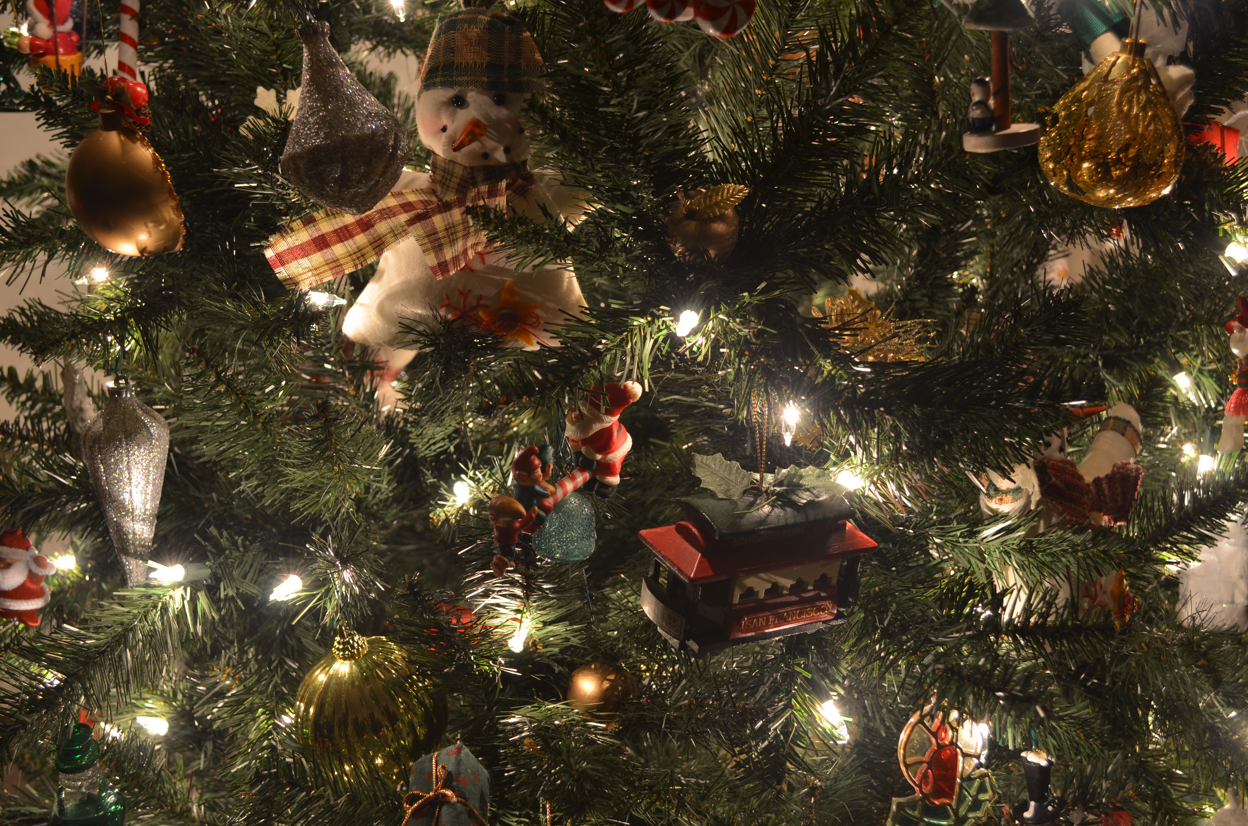 Use of low-power, local light instead of general room ambience enhances detail in tiny objects, revealing their textures. 1/2 sec., f/4, ISO 100, 20mm.