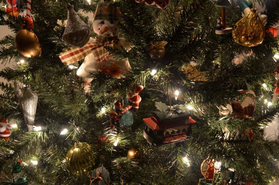 Use of low-power, local light instead of general room ambience enhances detail in tiny objects, revealing their textures. 1/2 sec., f/4, ISO 100, 20mm.