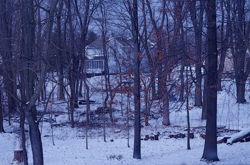 1/320 sec., f/8, ISO 100, 55mm.