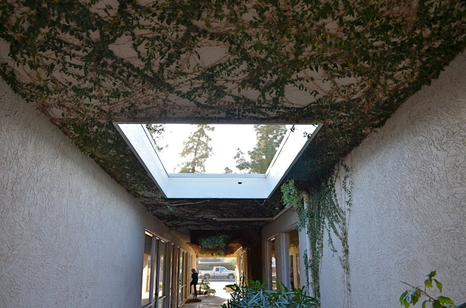 Is this a success or a failure? Does it matter? All that's important is that you, not the camera, is making the picture. Manual mode, 1/100 sec., f/5.6, ISO 100, 18mm.