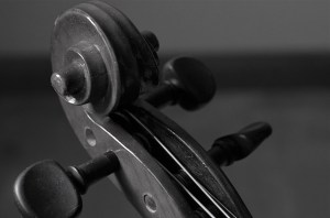 The delight is in the details.