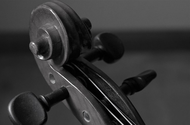 The delight is in the details.