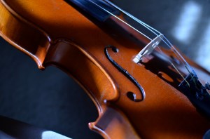 Staging the object just outside the reach of full light, the picture sort of sculpted itself.