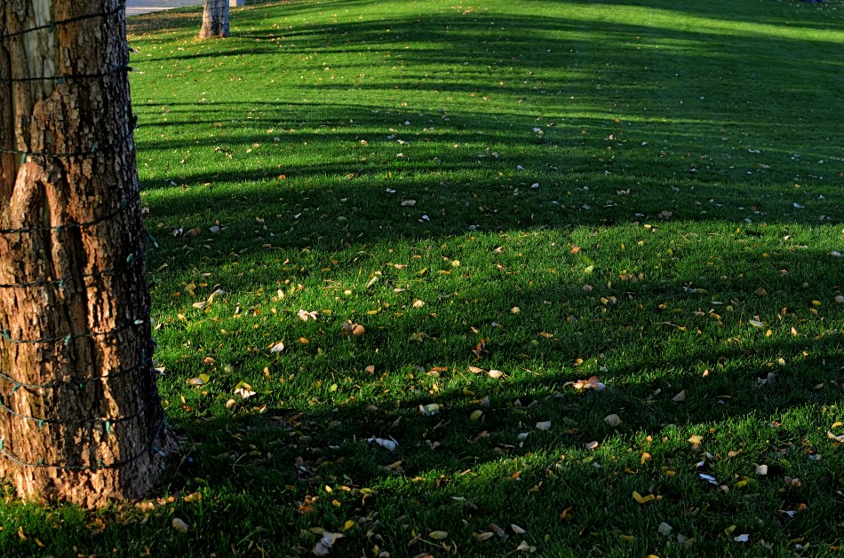 No reason for this picture to be taken, except that it was time for it to be. 1/125 sec., f/5.6, ISO 100, 35mm.