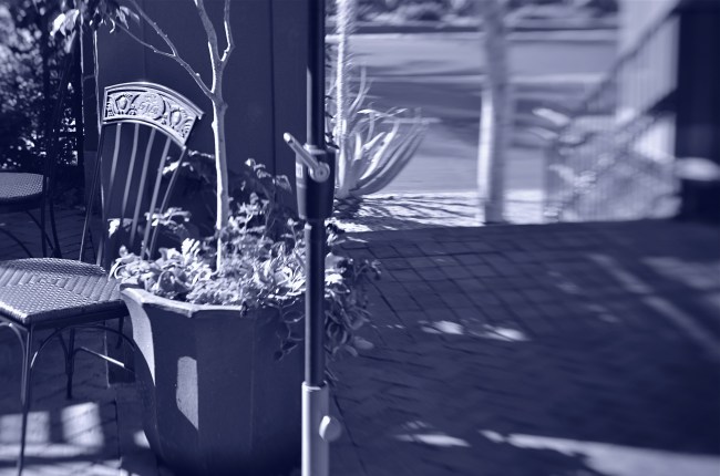 DIY-style bokeh, courtesy of Lensbaby.