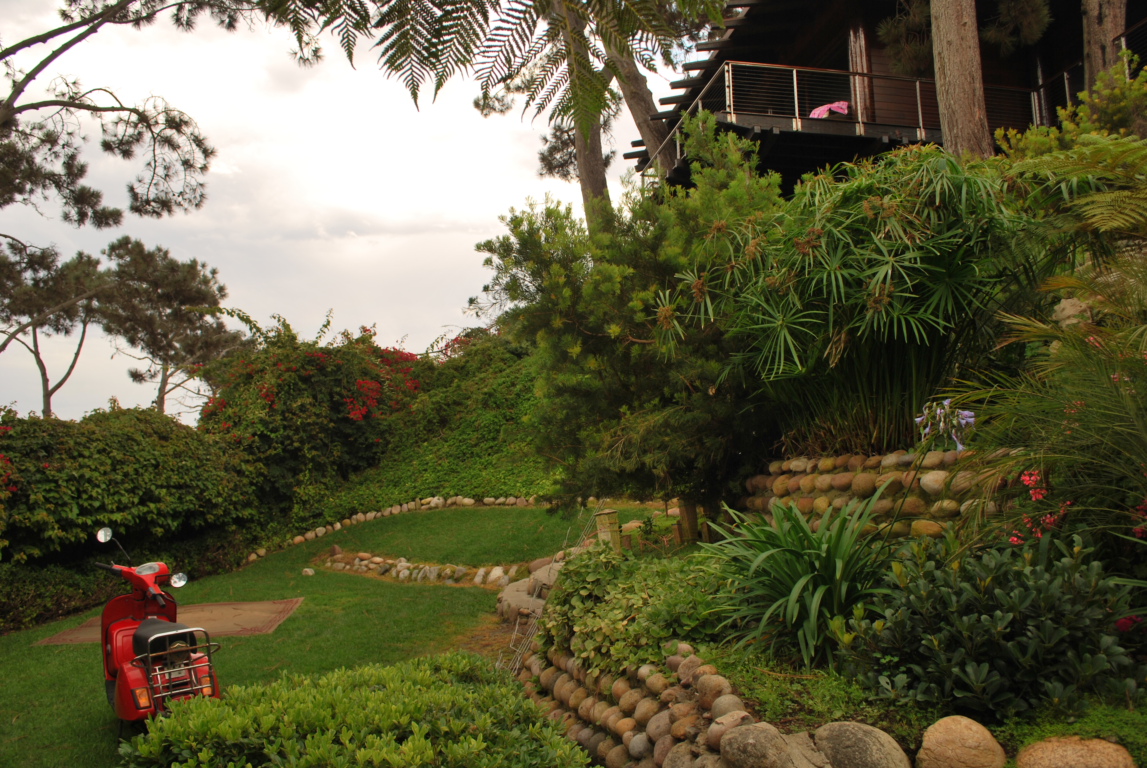 Pictures are where you find them, often tucked away behind so-called "attractions".