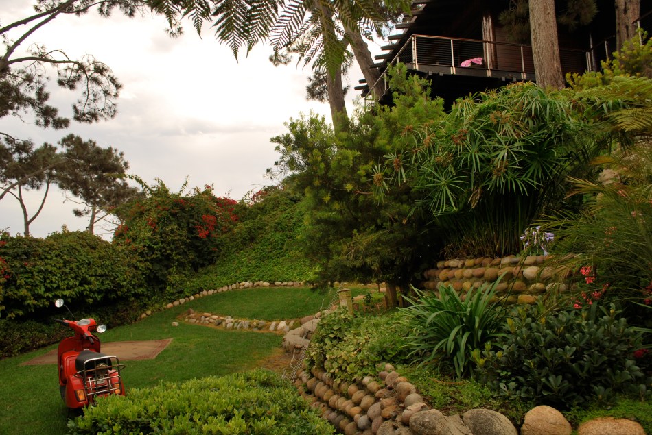 Pictures are where you find them, often tucked away behind so-called "attractions".