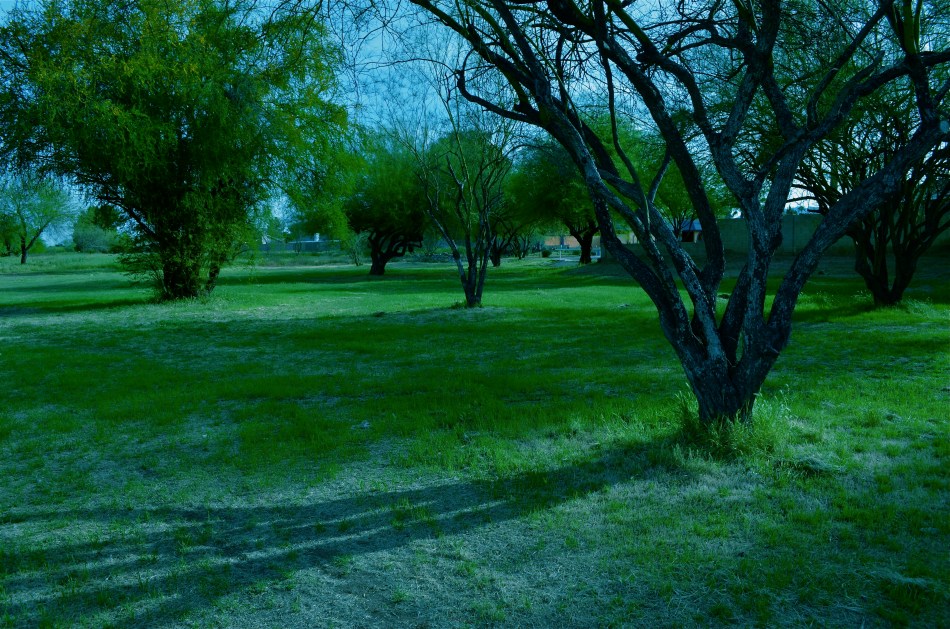 Not the kind of space you'd expect to see in a visually crowded surburban environment.