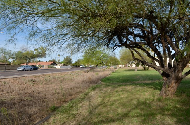 Not exactly an enchanted forest, but pivot the camera and the pattern emerges.