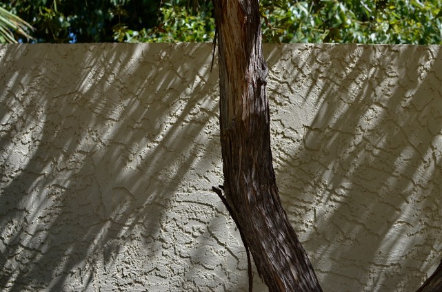 Early morning shadows shift suddenly, presenting many different ways to see the same subject. 1/400 sec., f/5.6, ISO 100, 35mm.