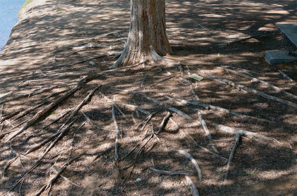 You don't have to reveal every stray pebble in perfect definition to get a sense of texture in this shot. 