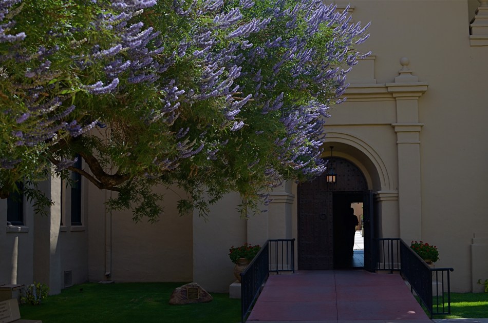 The light on the tree's blossoms will be gone in three minutes. Best decision in the moment: slight underexposure to combat the mid-morning sun. 1/640 sec., f/5.6, ISO 100, 35mm.