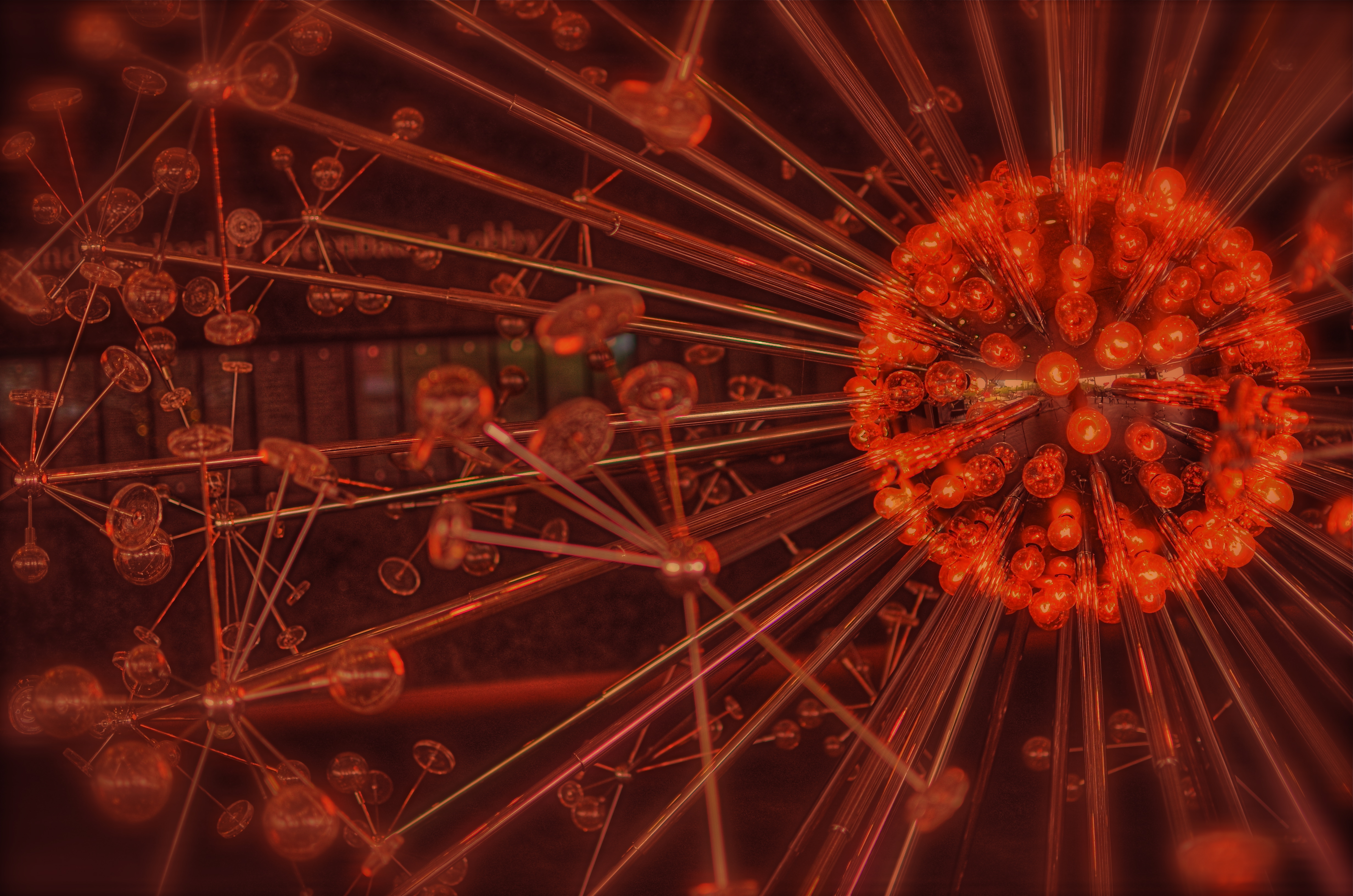 Okay, this has a lot of processing. Love me or hate me based on whether it worked. 1/500 sec., f/1.8, ISO 100, 35mm.