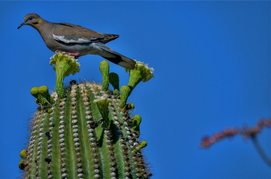 Kids are hungry. That means an early working day for Mom.