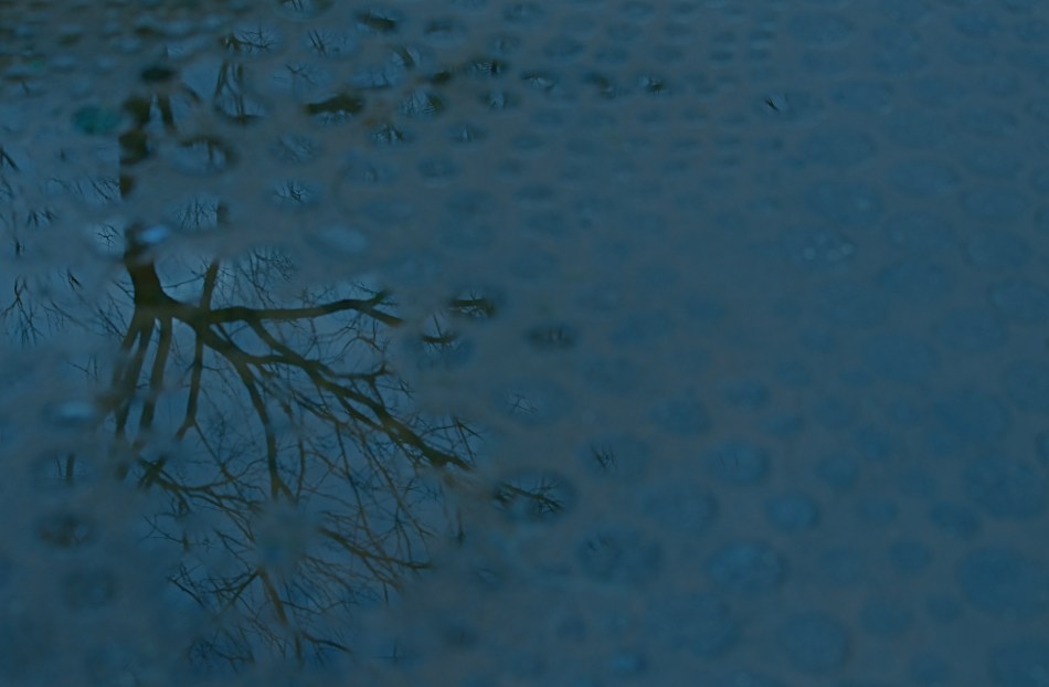 Rainy day dream away: 1/160 sec., f/4.5, ISO 100, 35mm.