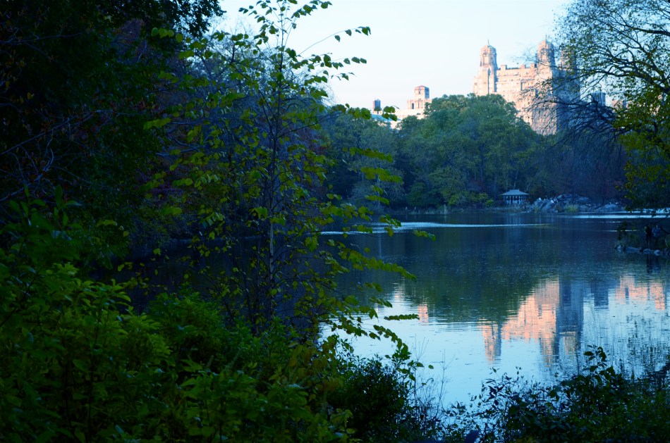 The Lake, Central Park West, NYC. 1/80 sec., f/5.6, ISO 160, 50mm.