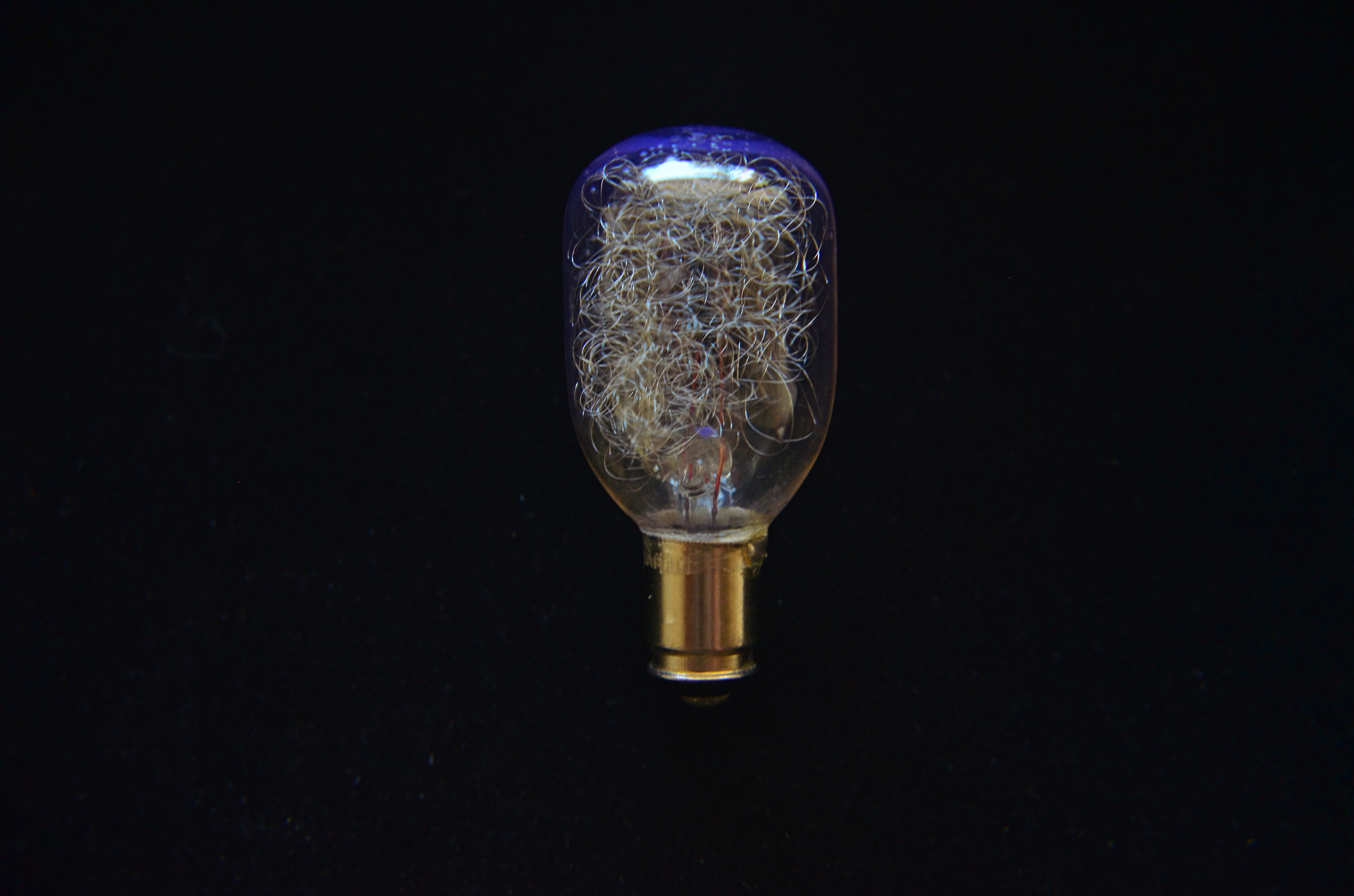 FInd new ways to see old objects: 1/80 sec., f/5.6, ISO 640, 35mm.