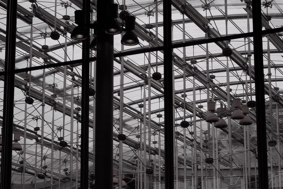 Will I have any regard for this image in five years? Ten? How about in six months? And why?