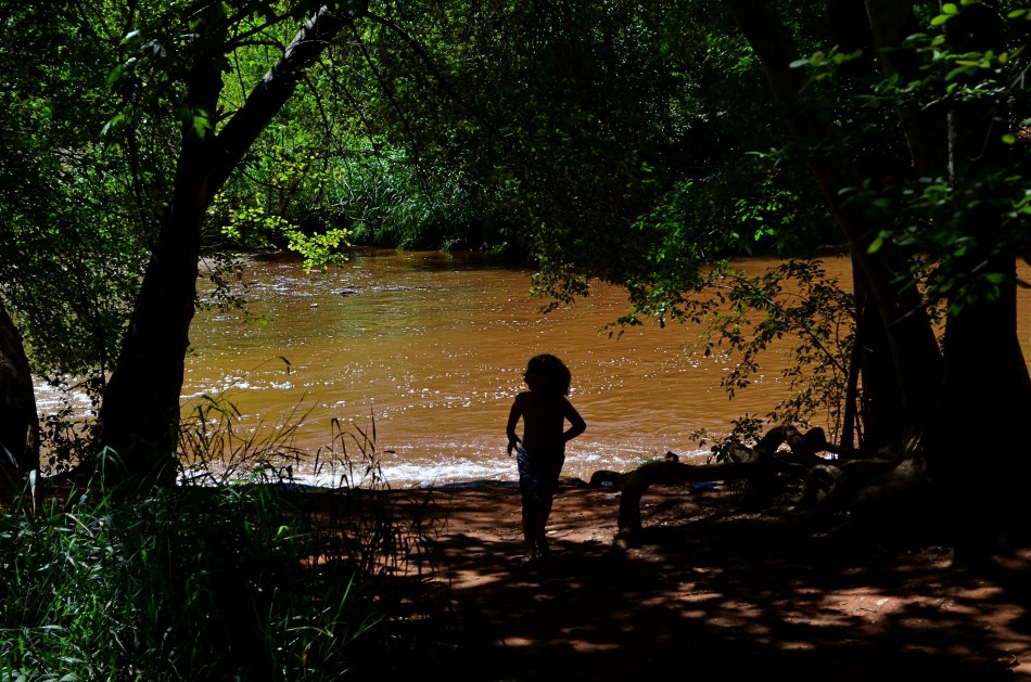 Huck Finn Sneaks Ashore.