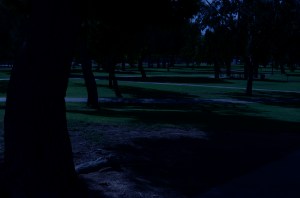 A faux "night" at the park. 1/320 sec., f/20, ISO 100, 35mm.