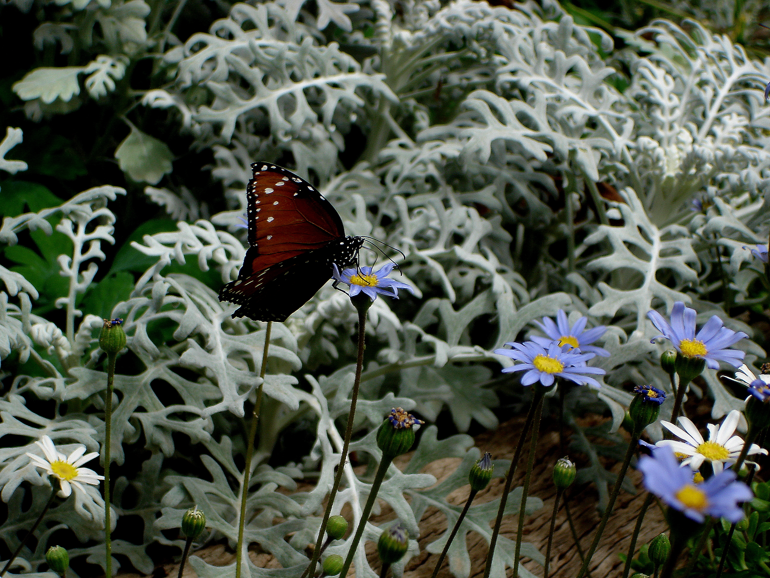 Sticking The Landing, cover image for my first book, Juxtaposition (2007). 1/160 sec., f/5.2, ISO 100, 24mm.