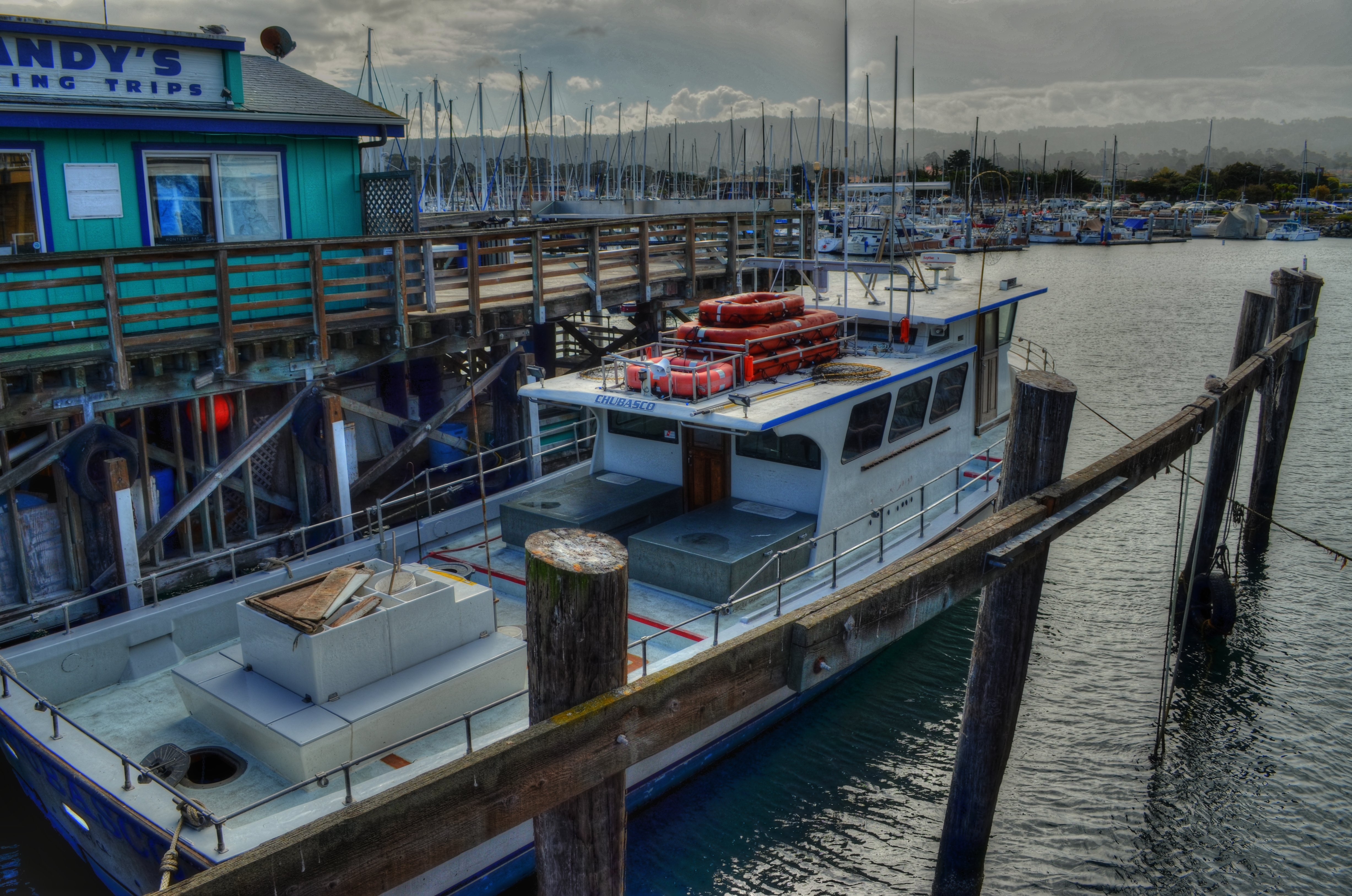 Don't think you're paying me a compliment to say that this looks like a painting. Or a cabbage or a hammer. It's a picture.