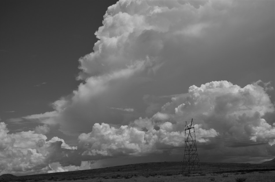 The Relay, 2013. 1/500 sec., f/8, ISO 100, 55mm.