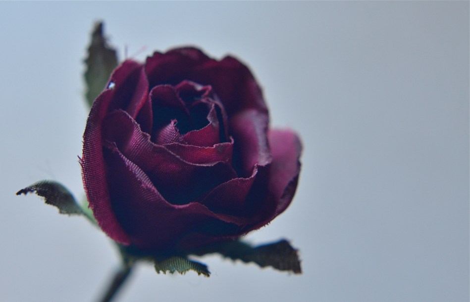 1/50 sec., f/4.5, ISO 640, 35mm.