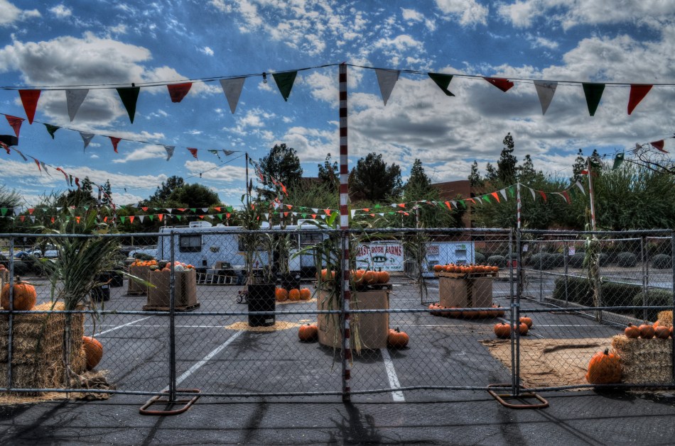 Low overhead? Hey, we invented it. A parking lot, some pumpkins, and opportunity.