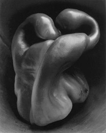 Edward Weston, Pepper # 30.