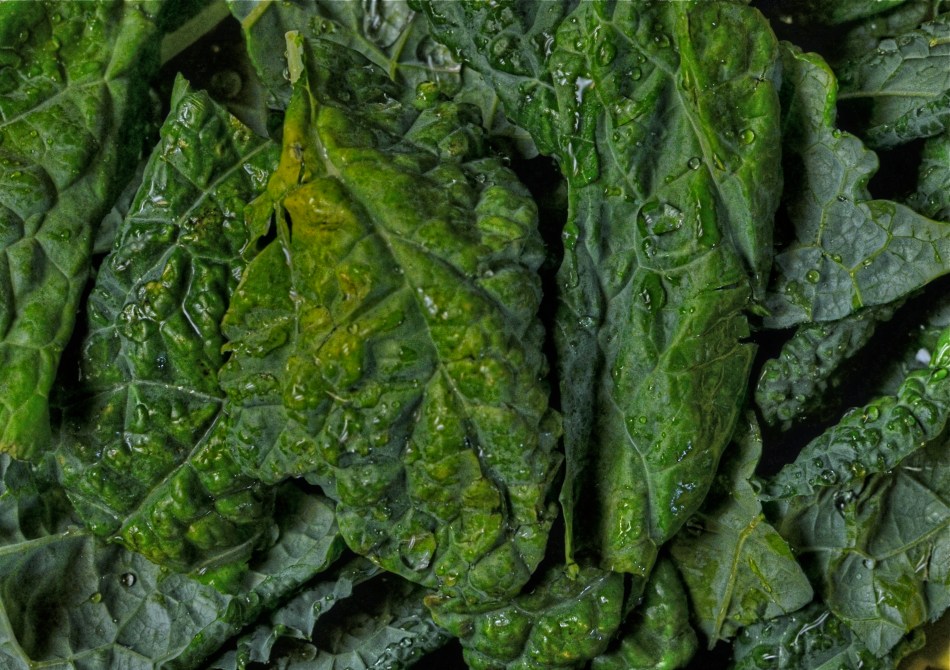 Verdant, 2013. 1/60 sec., f/5.6, ISO 500, 35mm.