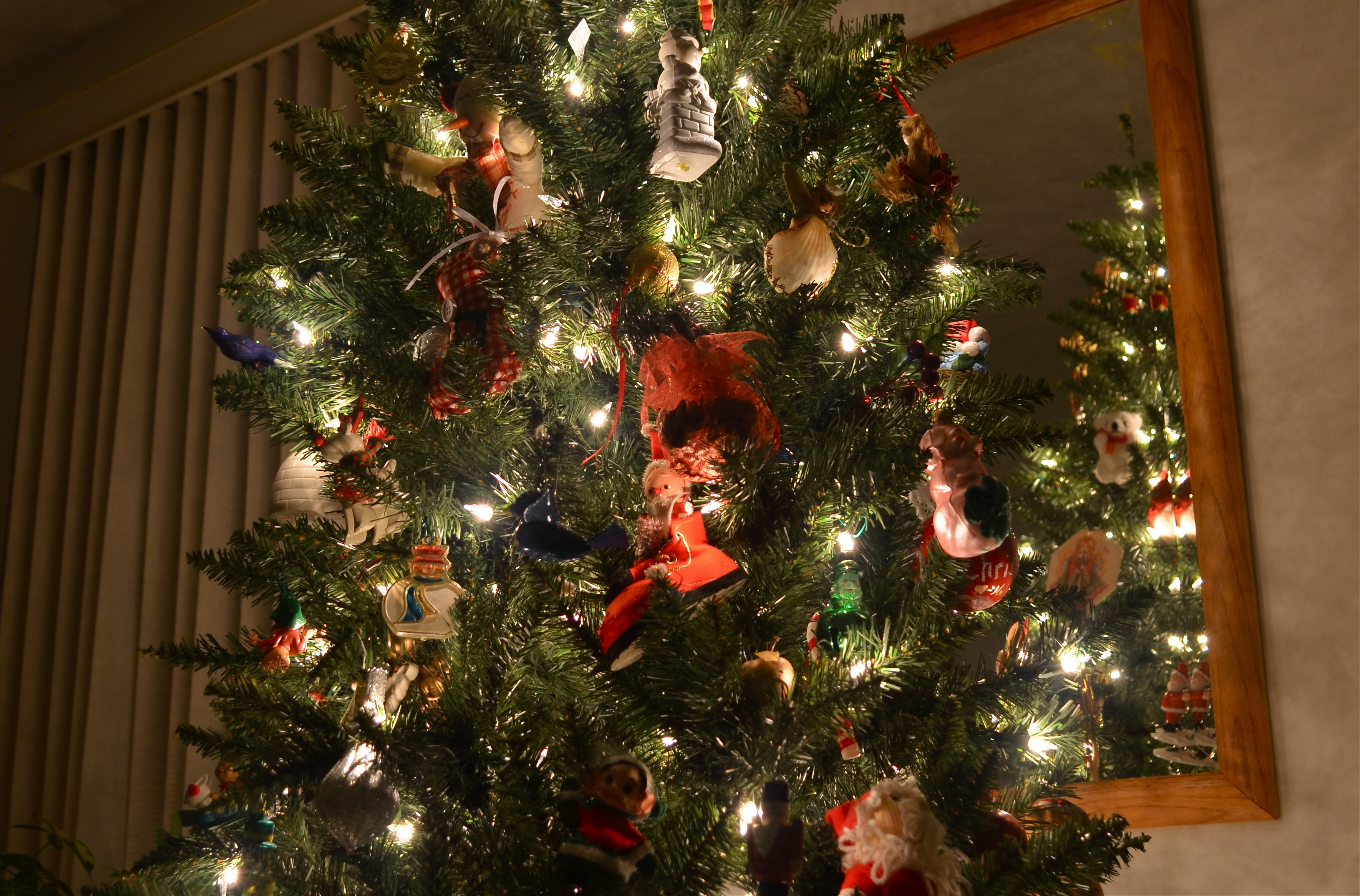 1/16 sec., f/4, ISO 100, 20mm.