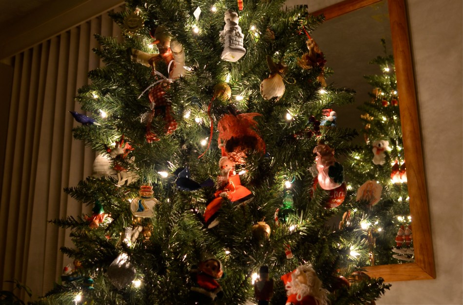 1/16 sec., f/4, ISO 100, 20mm.