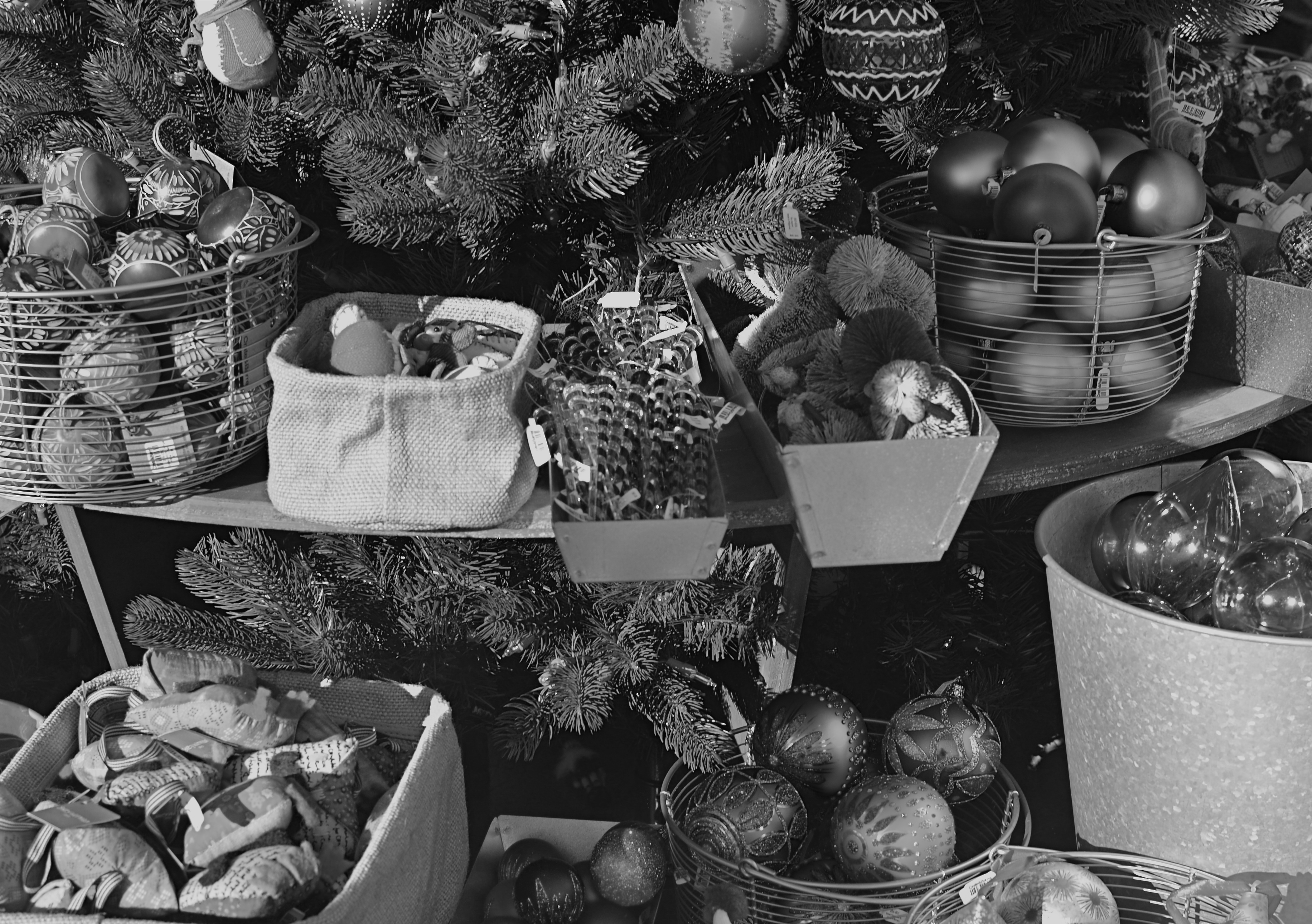 All The Trimmings, 2013. 1/160 sec., f/5.6, ISO 100, 35mm.