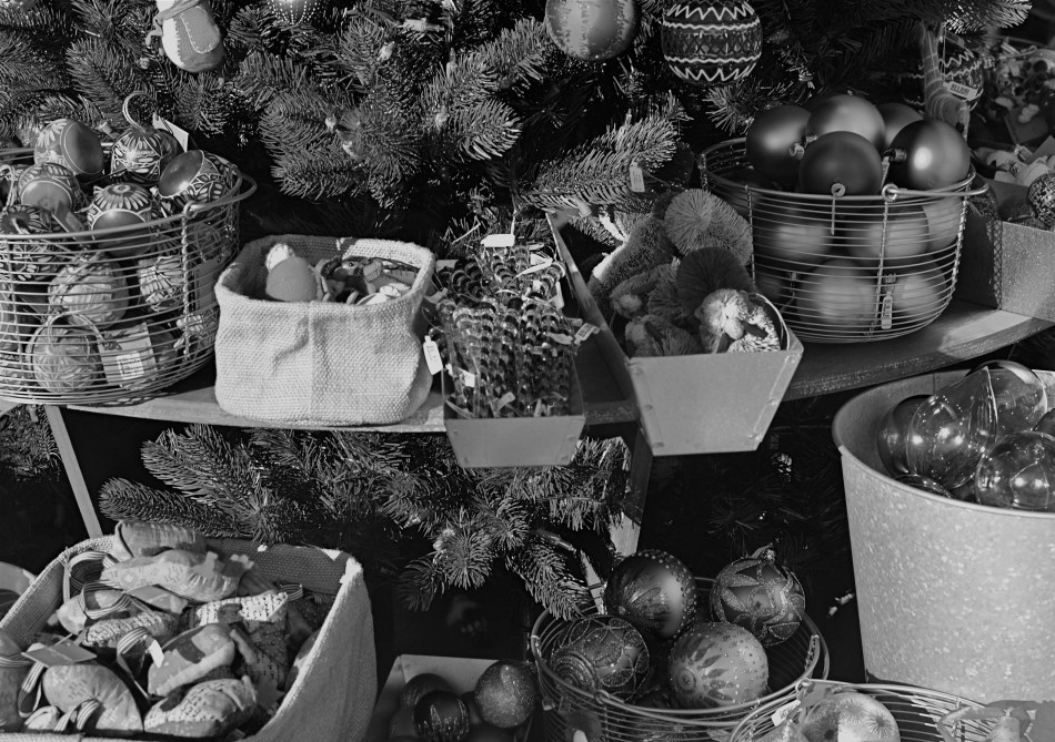 All The Trimmings, 2013. 1/160 sec., f/5.6, ISO 100, 35mm.