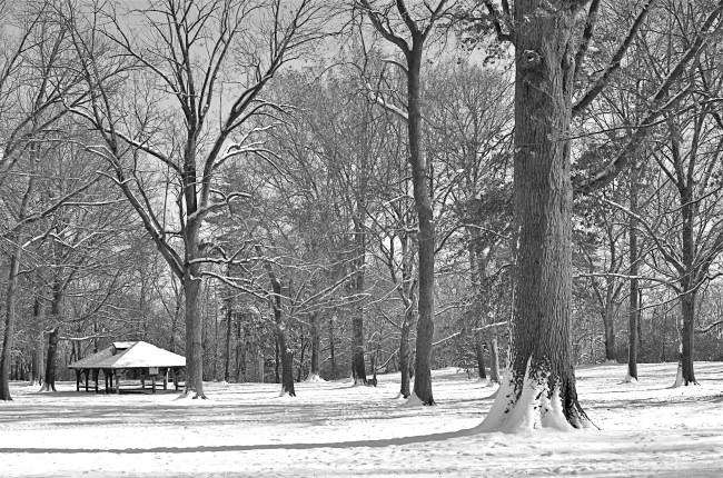 Same shot, converted in-camera to monochrome. Now it's too bland.