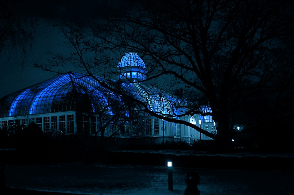 Franklin Park Conservatory, Columbus, Ohio. 1/40 sec., f/1.8, ISO 500, 35mm.