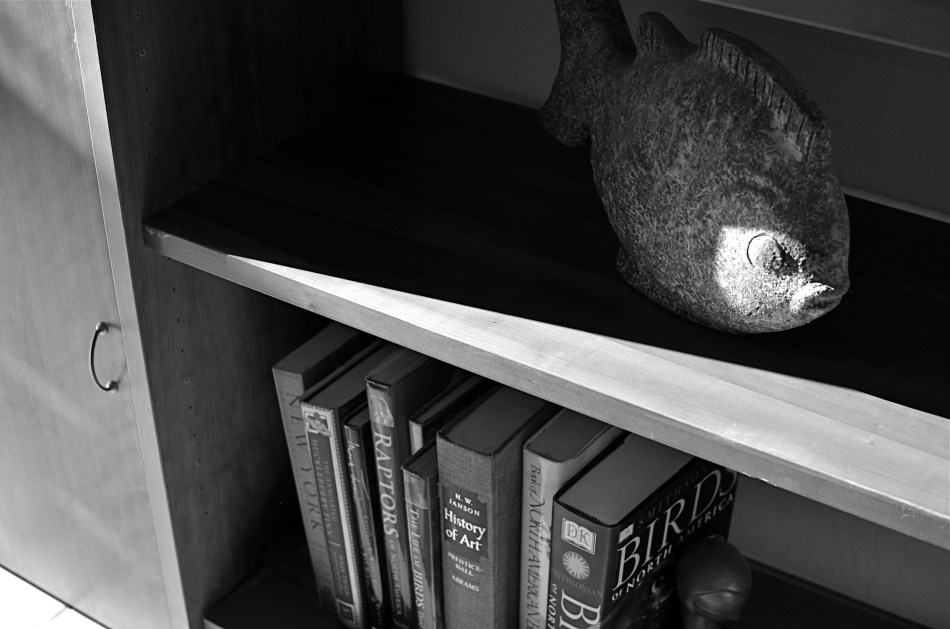 FIsh 'n'Books, 2013. 1/200 sec., f/3.5, ISO 100, 35mm.