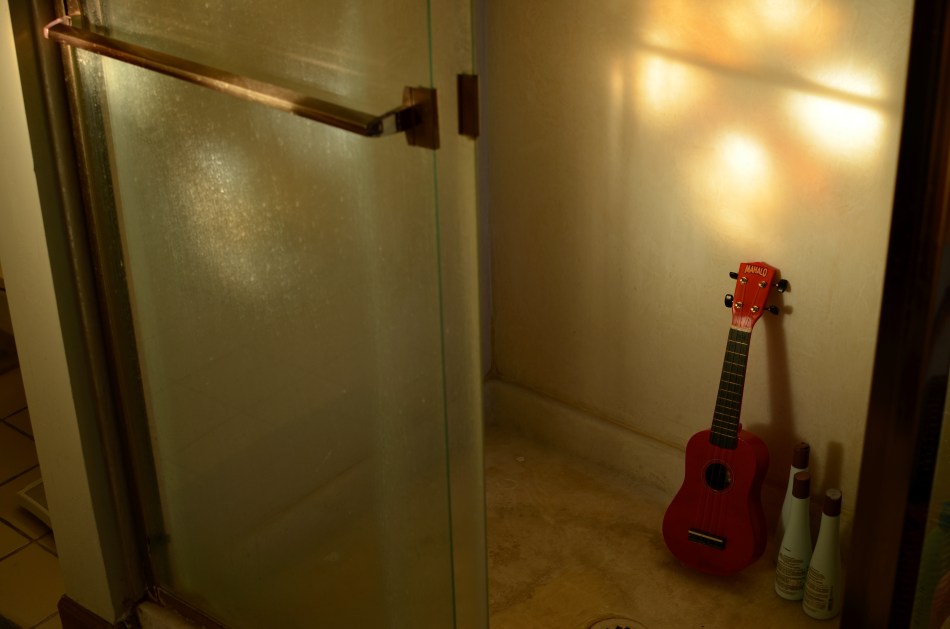 Uke can find good light showering down anywhere. 1/60 sec., f/4.5, ISO 100, 35mm.