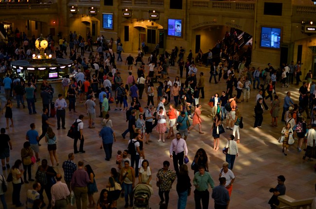 The master shot, before cropping.