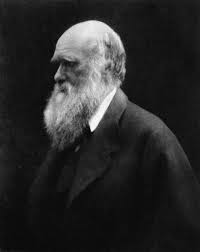 Charles Darwin sits for Julia Margaret Cameron. What she sacrificed in sharpness she gained in naturalness.