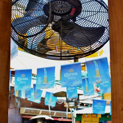 Fan photo: 1/80 sec., ISO 100, 35mm.