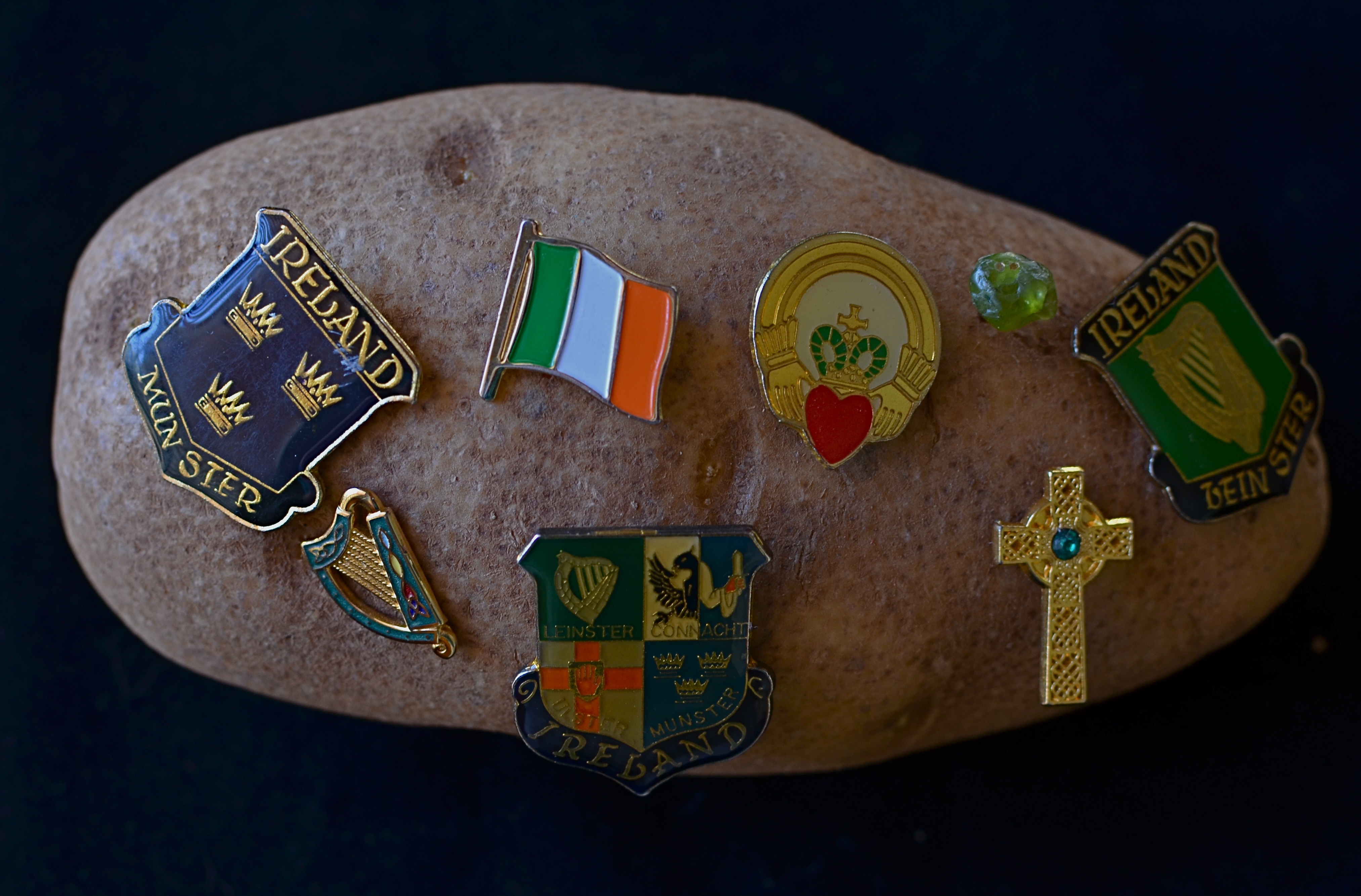 Rooted: 1/50 sec., f/5, ISO 200, 35mm.