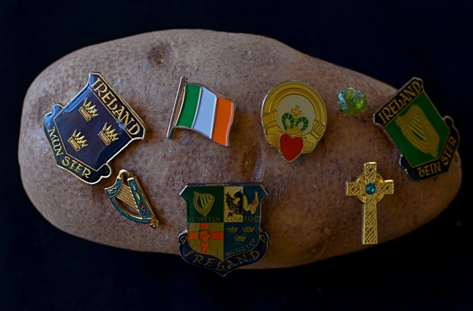 Rooted: 1/50 sec., f/5, ISO 200, 35mm.