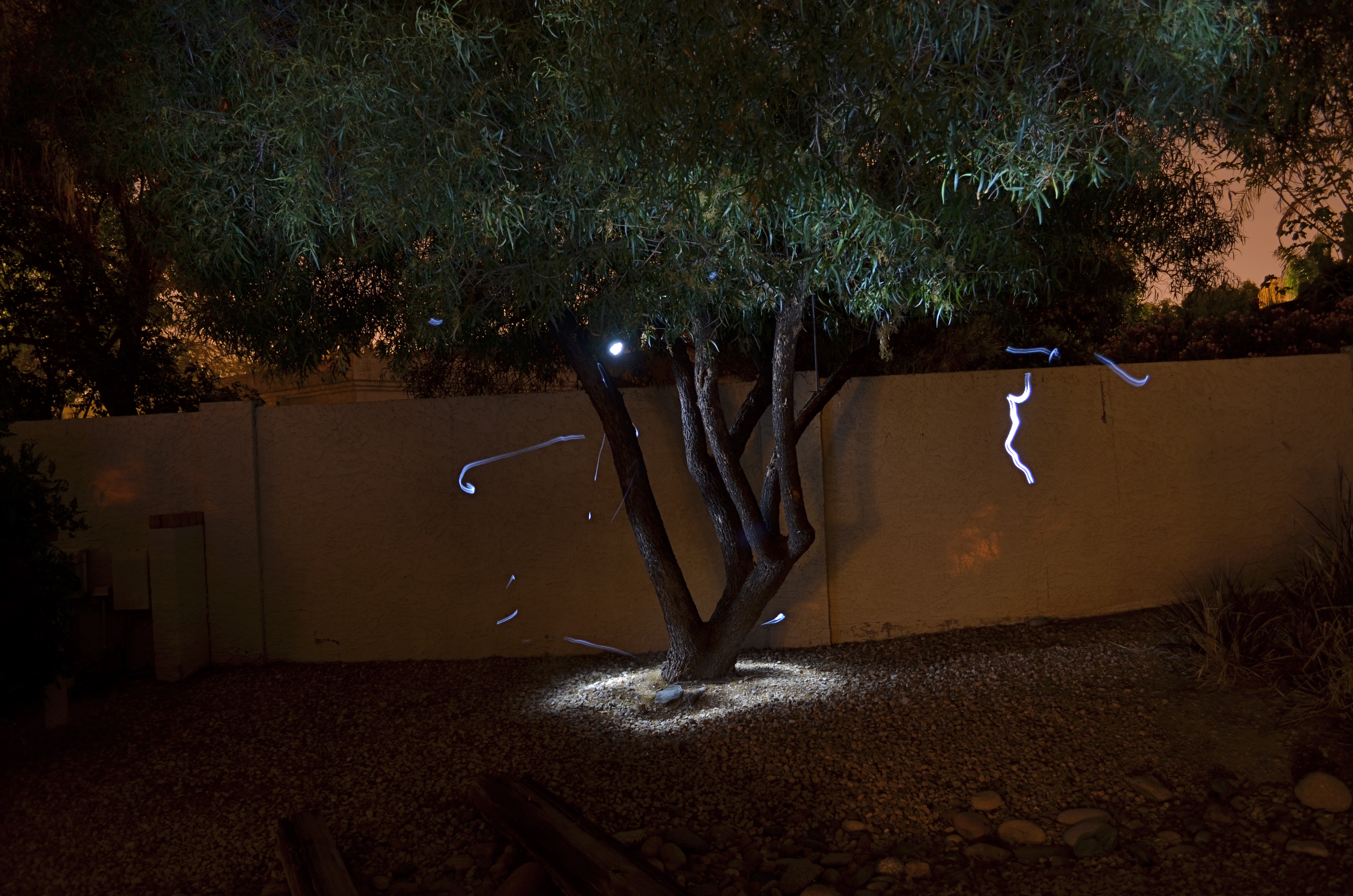 Shot in complete darkness and selectively lit with a handheld LED. Exposed for 73 seconds at f/4.5, ISO 100, 18mm.