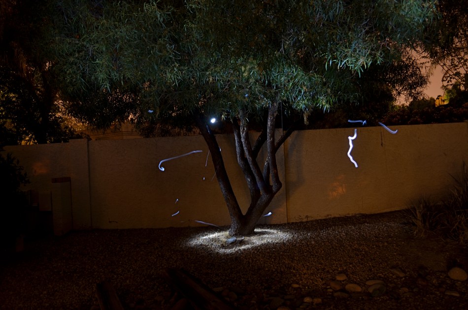 Shot in complete darkness and selectively lit with a handheld LED. Exposed for 73 seconds at f/4.5, ISO 100, 18mm.