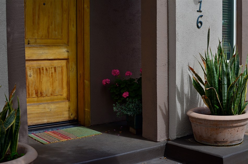 If you never take the time to review the thousands of images you shoot, you lose the joy of the jewels and the lessons of the near misses. 