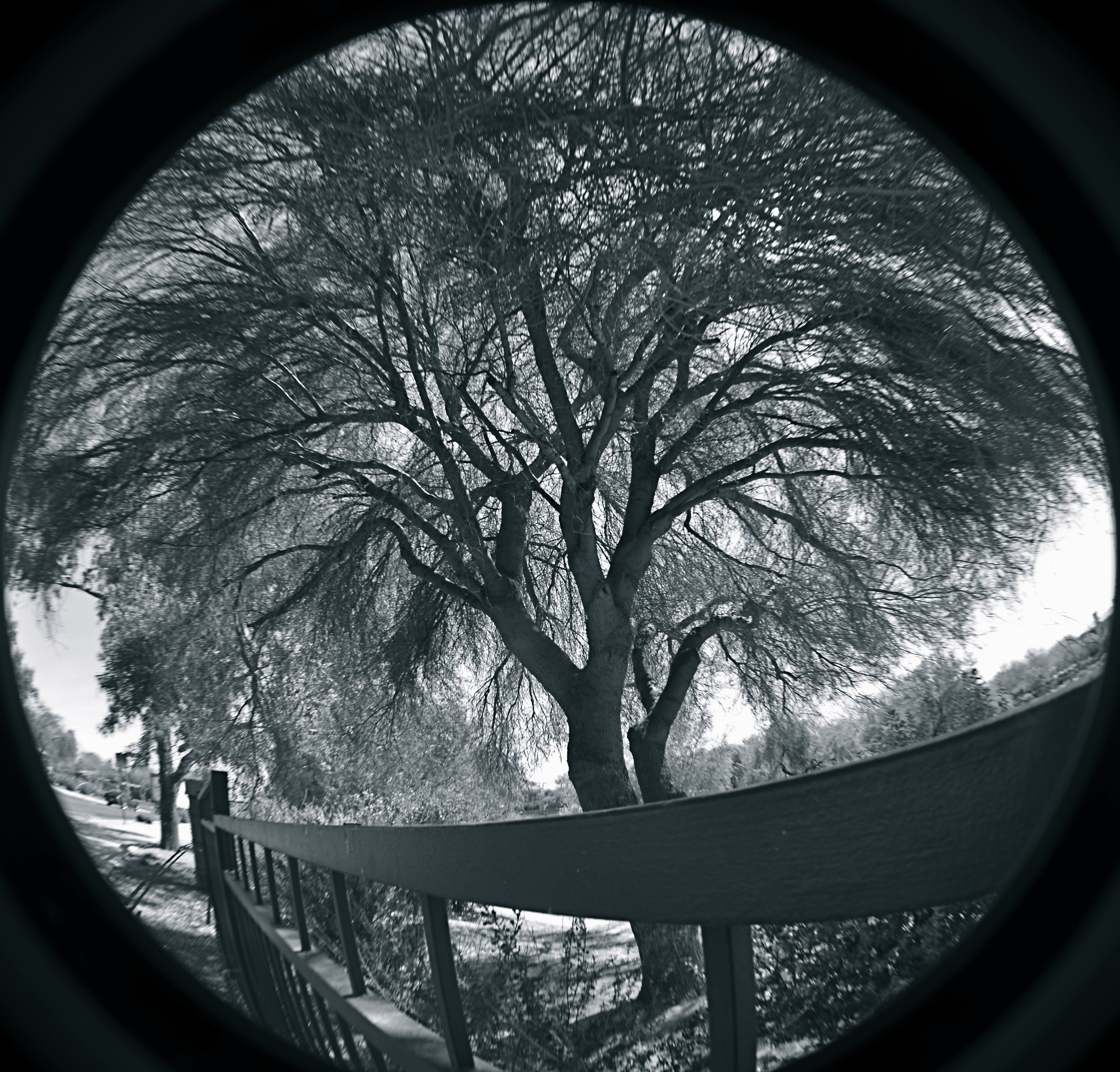 Cheap fisheye adaptors are a mixed bag optically, but they can convey a mood. 1/40 sec., f/11, ISO 100, 18mm.