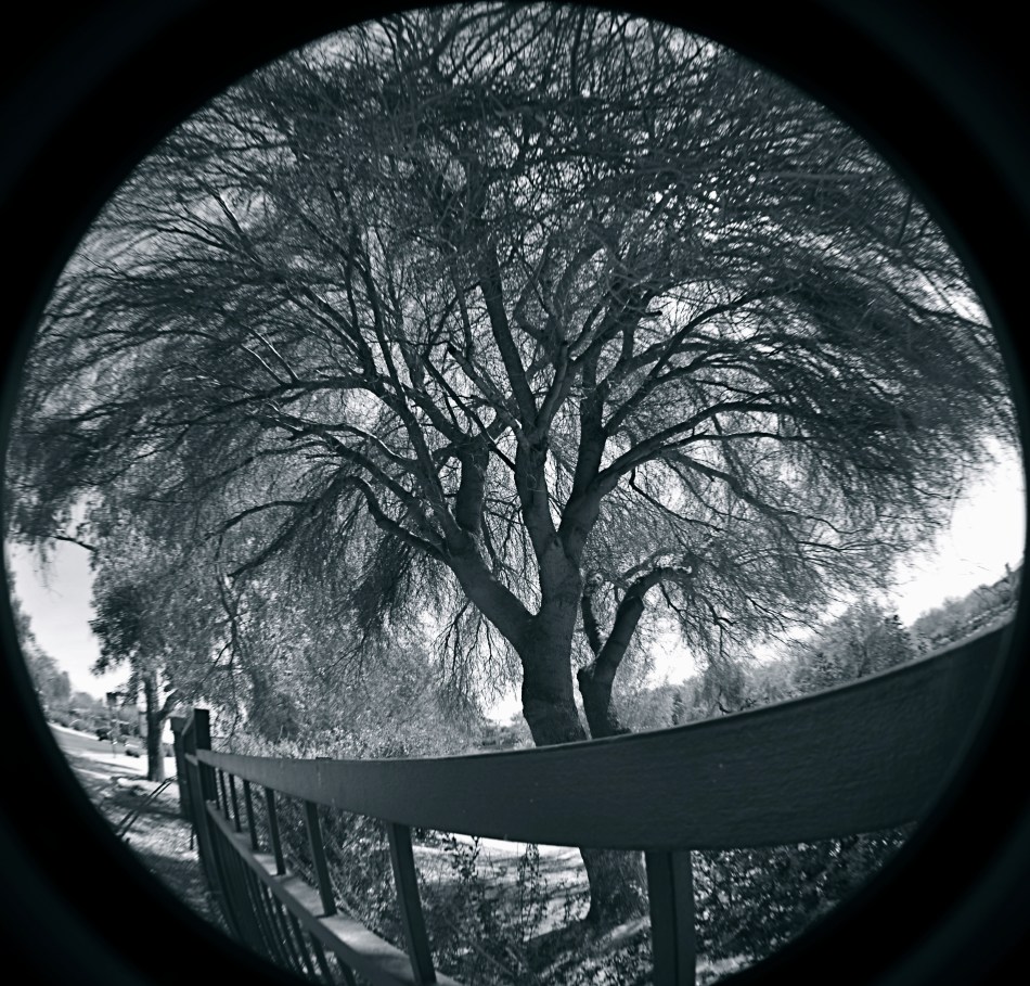 Cheap fisheye adaptors are a mixed bag optically, but they can convey a mood. 1/40 sec., f/11, ISO 100, 18mm.