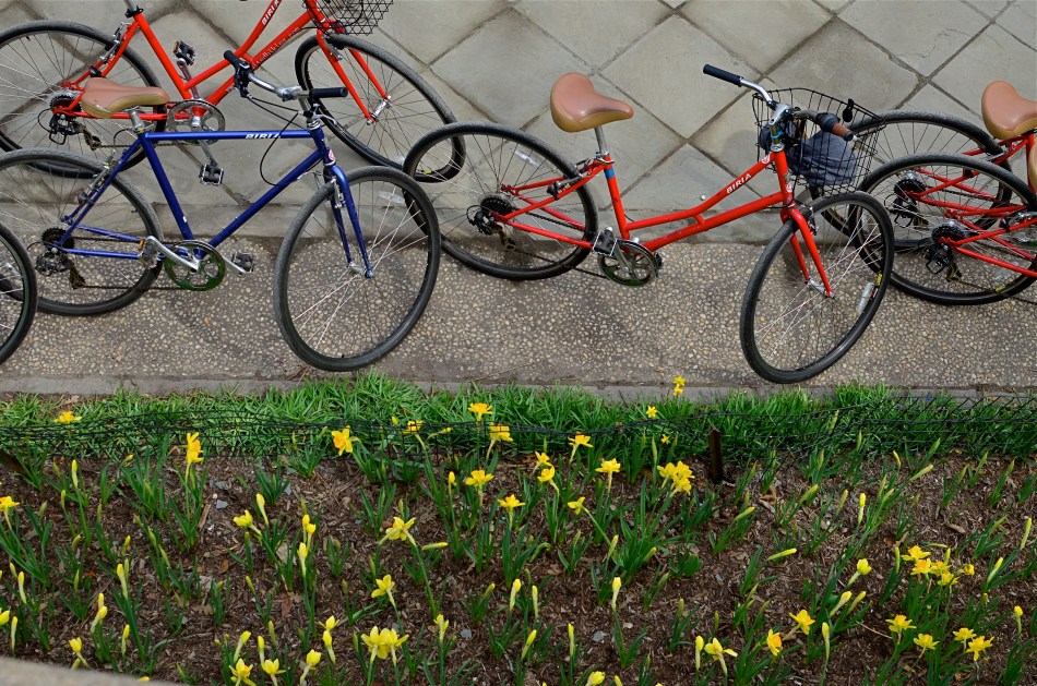 Central Park, April 2014. 1/320 sec., f/5.6, ISO 100, 35mm.